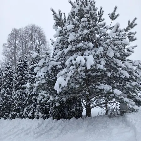 Vila Dom Przy Zagrodzie Nowy Targ Exteriér fotografie
