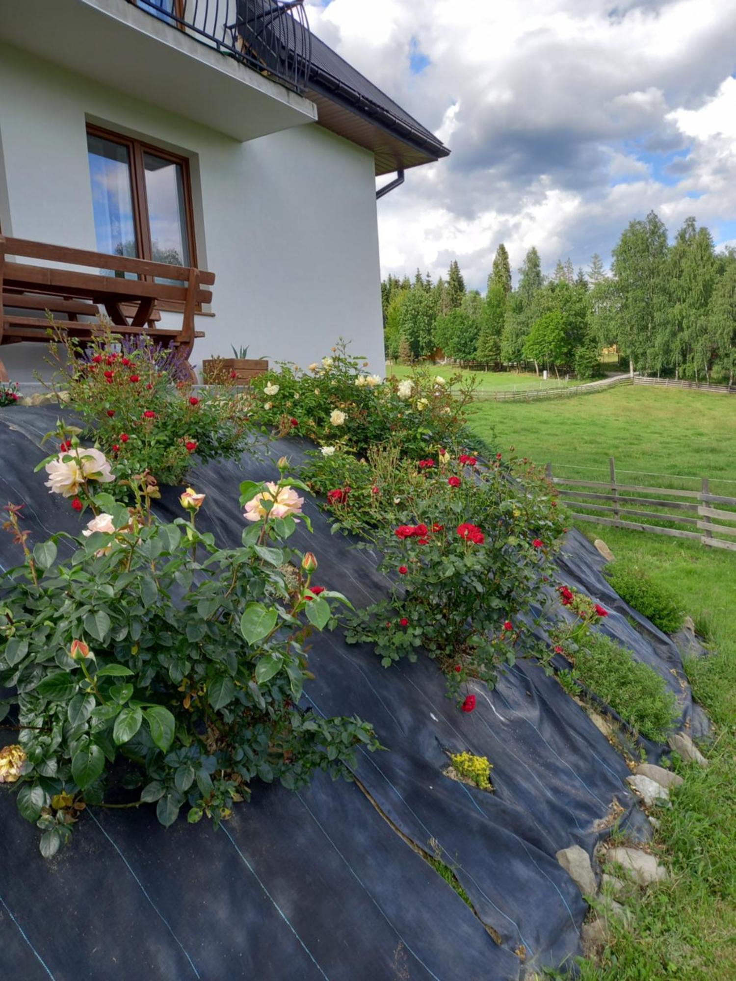 Holiday home Dom Przy Zagrodzie